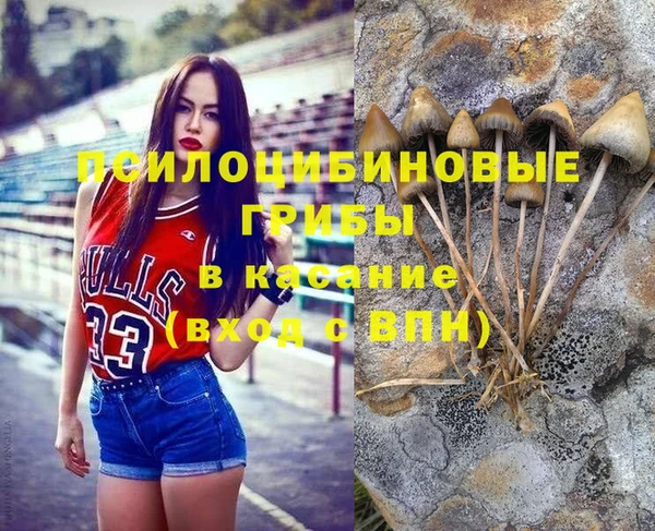 spice Инсар