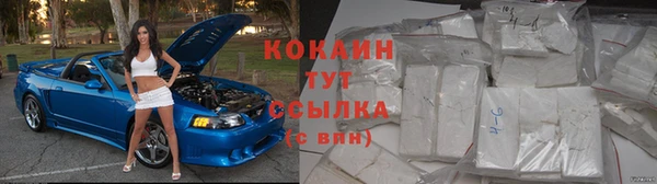 крисы Инта
