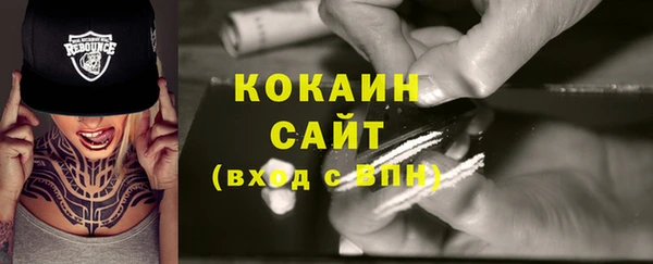 амф Каменка