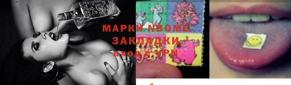 крисы Инта