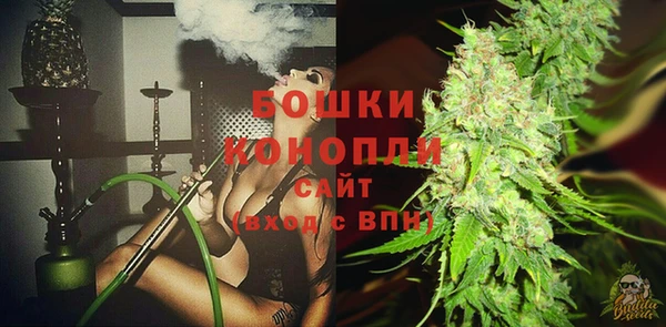 spice Инсар