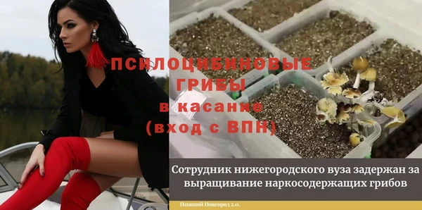 ПСИЛОЦИБИНОВЫЕ ГРИБЫ Чердынь