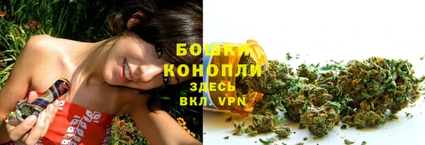 крисы Инта