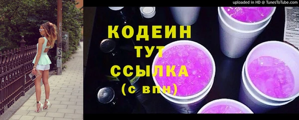 spice Инсар