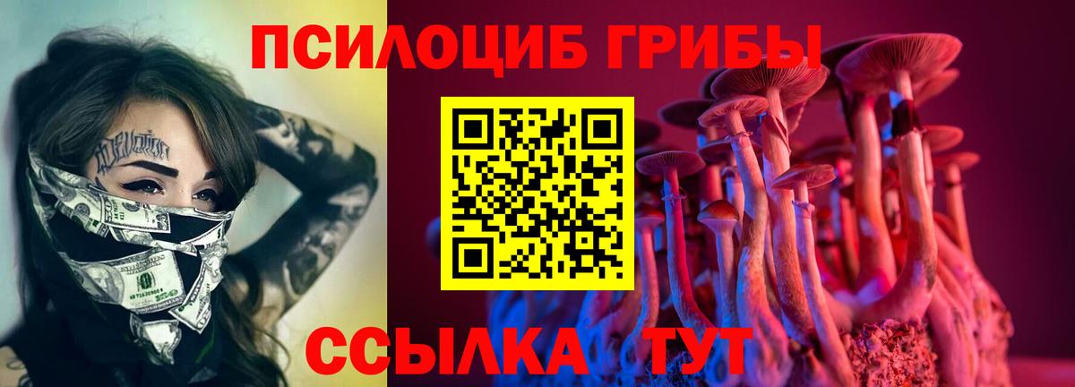 Галлюциногенные грибы мицелий Усть-Кут